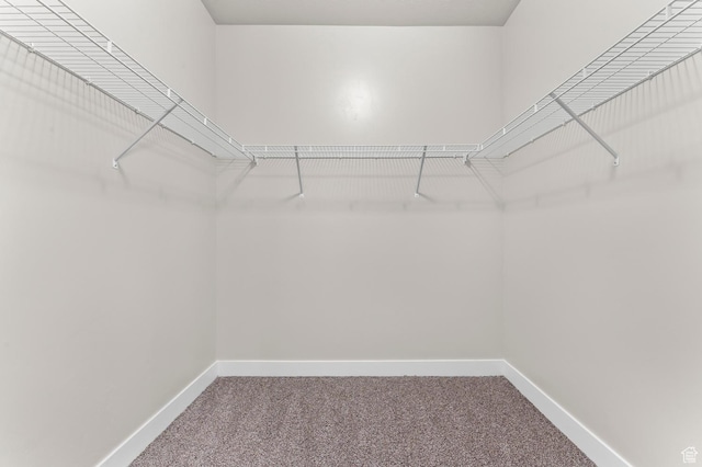 14643 S Mckellen Dr Unit D202, Herriman, UT 84096 - walk in closet featuring carpet