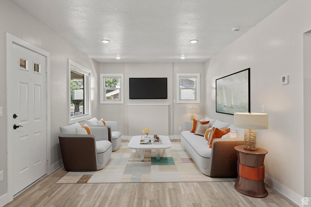 791 W 100 S, Provo, UT 84601 - living area featuring wood finished floors and a textured ceiling