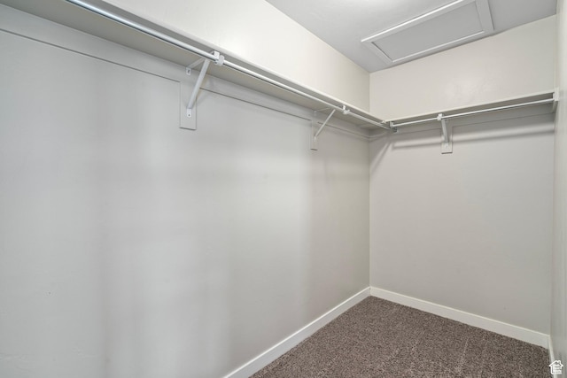 14728 S Rising Star Way W, Bluffdale, UT 84065 - spacious closet featuring dark carpet and attic access