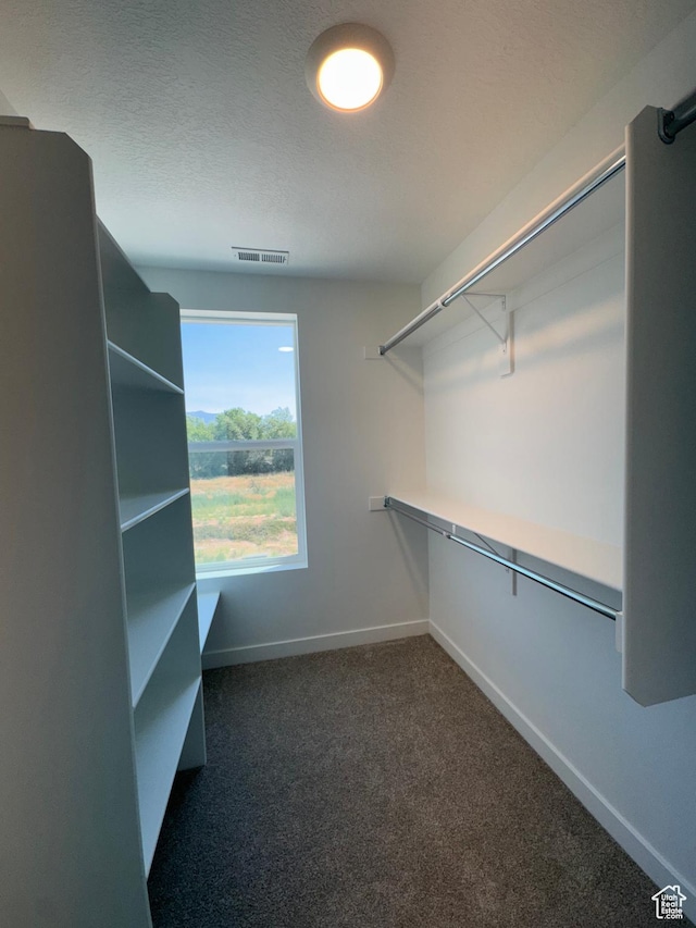 1452 N 1875 W Unit 146, Layton, UT 84041 - spacious closet featuring carpet
