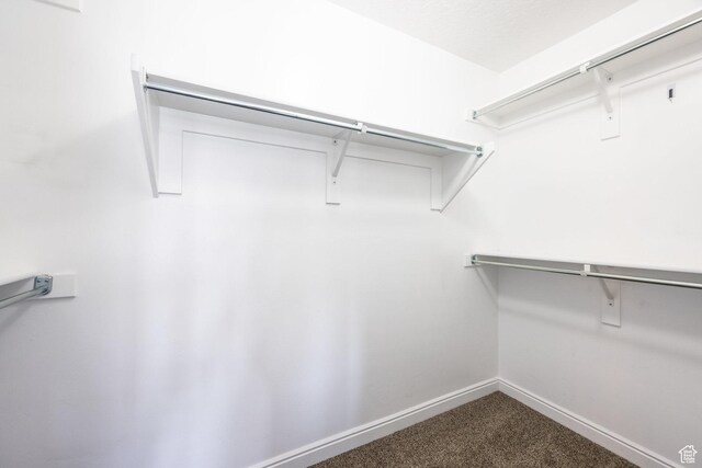 3219 W Manor View Dr, Lehi, UT 84043 - photo 13