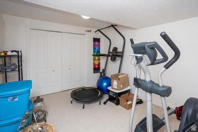 27 Canterbury Ln, Logan, UT 84321 - exercise room featuring a textured ceiling and carpet