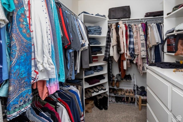 27 Canterbury Ln, Logan, UT 84321 - walk in closet featuring carpet flooring