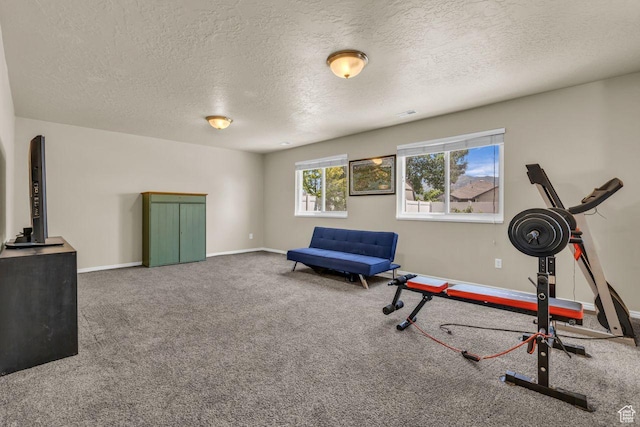 158 N Walton Ct W, North Salt Lake, UT 84054 - workout area featuring a textured ceiling and carpet flooring