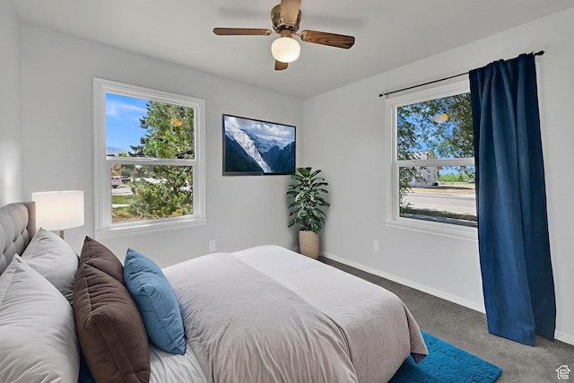 363 E Factory St, Garland, UT 84312 - carpeted bedroom with baseboards and a ceiling fan