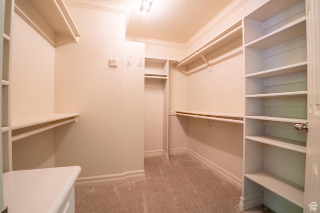 571 E Golden Pheasant Dr, Draper, UT 84020 - walk in closet with carpet