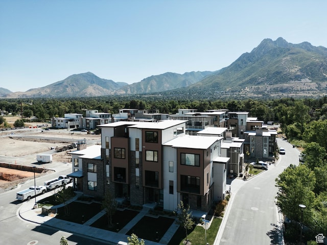 2009 E Beverly Dr S, Holladay, UT 84117 - view of mountain background