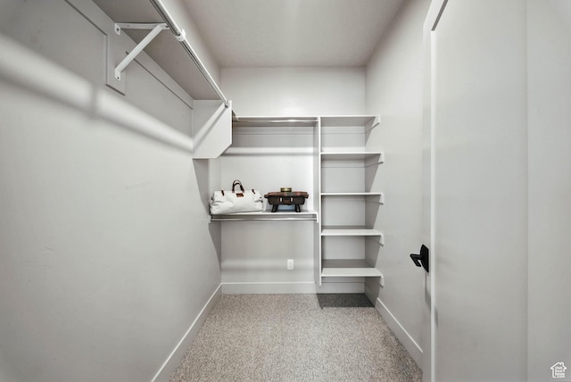 2009 E Beverly Dr S, Holladay, UT 84117 - spacious closet with carpet floors