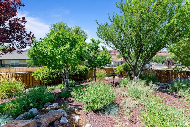 460 E Bowen Cir, Moab, UT 84532 - view of yard