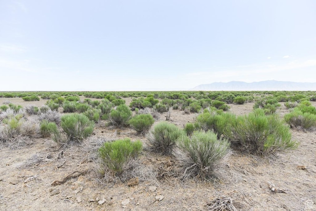 Grantsville, UT 84029 - photo 4