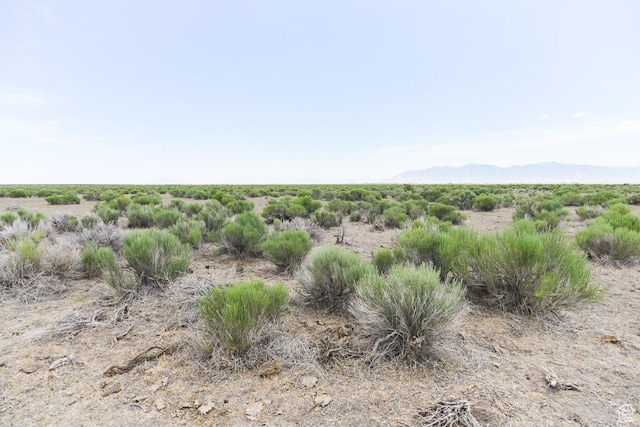 Grantsville, UT 84029 - photo 4