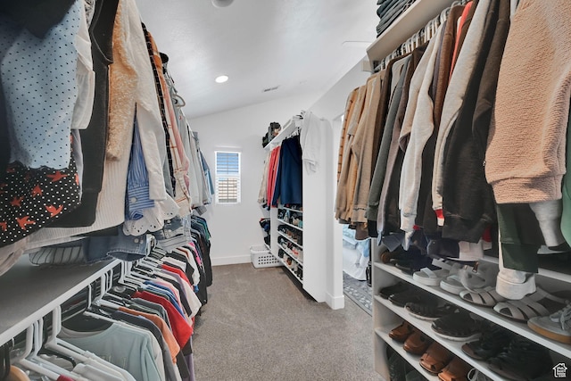 874 W Steeple Chase Dr, Kaysville, UT 84037 - walk in closet featuring carpet