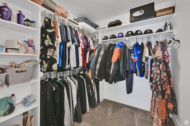 874 W Steeple Chase Dr, Kaysville, UT 84037 - walk in closet with carpet flooring