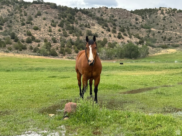 42749 W 9750 N, Hanna, UT 84031 - photo 10
