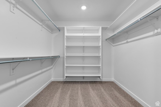 837 N 1860 E Unit 158, Salem, UT 84653 - walk in closet featuring dark colored carpet