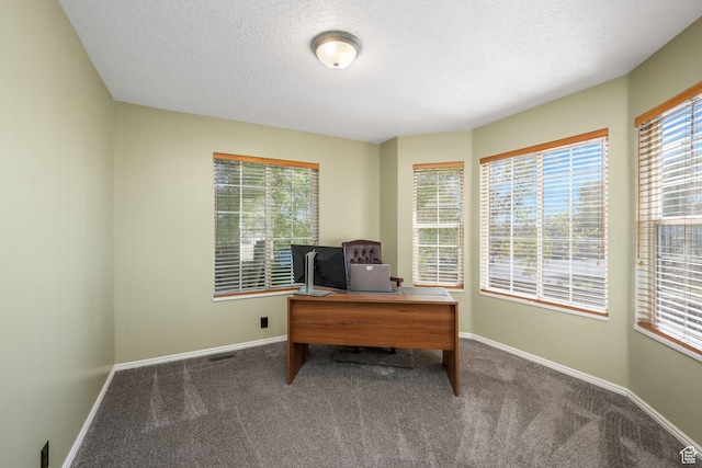 823 Creek Ln, Farmington, UT 84025 - carpeted office space with baseboards and a textured ceiling