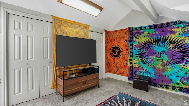 1248 E Freshman Cir, Millcreek, UT 84117 - living area with carpet and lofted ceiling