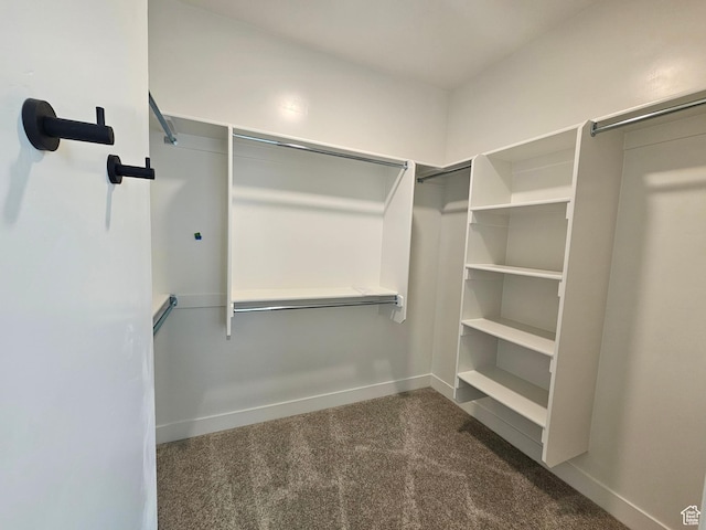 1768 S 3875 W Unit 227, Taylor, UT 84401 - walk in closet with carpet flooring