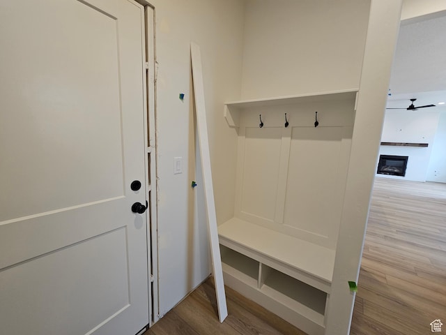 1768 S 3875 W Unit 227, Taylor, UT 84401 - mudroom with wood finished floors, a glass covered fireplace, and a ceiling fan