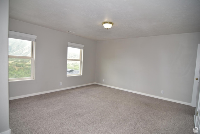 107 W High Sierra Dr, Elk Ridge, UT 84651 - empty room with carpet floors and a textured ceiling