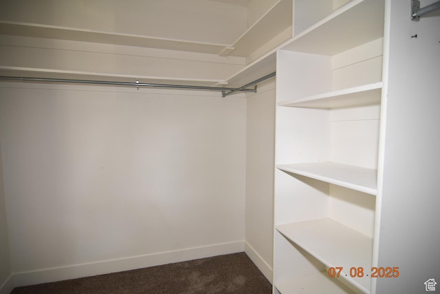 107 W High Sierra Dr, Elk Ridge, UT 84651 - walk in closet with dark colored carpet