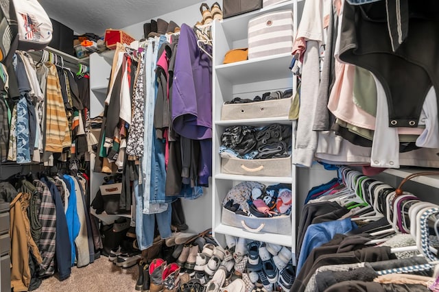 5631 W Still Well Ln S, Herriman, UT 84096 - view of walk in closet