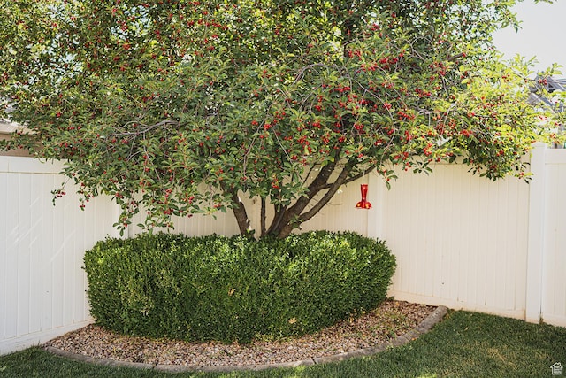 279 S 950 W, Spanish Fork, UT 84660 - view of yard