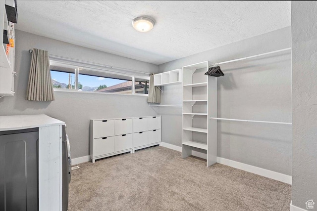 96 S 1000 W, Orem, UT 84058 - walk in closet featuring carpet flooring