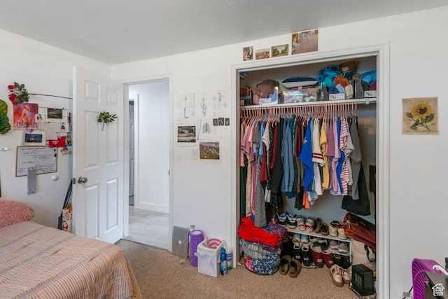 249 N 800 W, Orem, UT 84057 - carpeted bedroom featuring a closet