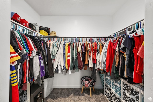 1098 S 4050 W, Syracuse, UT 84075 - walk in closet with carpet flooring