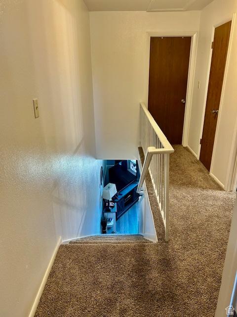 1200 N 100 W Unit 40, Vernal, UT 84078 - stairs with carpet and baseboards