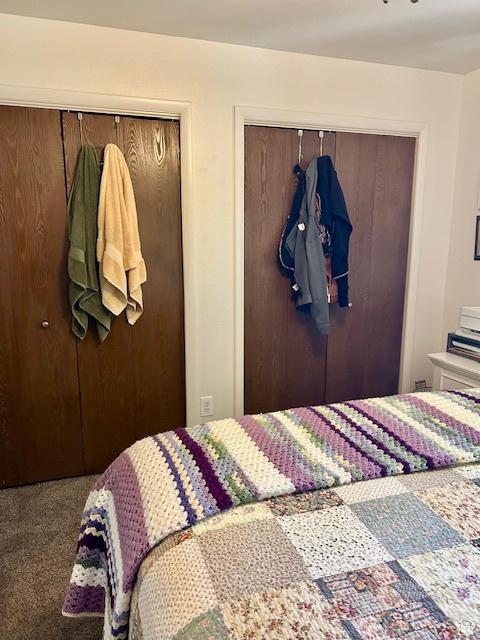 1200 N 100 W Unit 40, Vernal, UT 84078 - bedroom with multiple closets and carpet