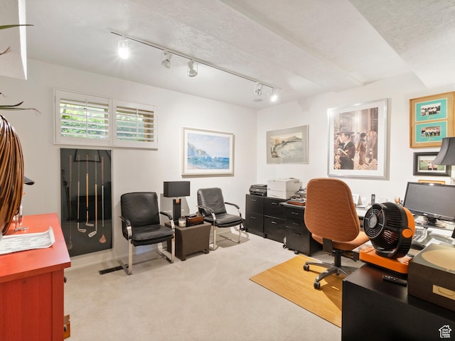 4506 S Gilead Way E, Millcreek, UT 84124 - carpeted home office featuring track lighting