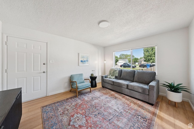 140 W 1200 N, Orem, UT 84057 - living area with light wood-style flooring and a textured ceiling