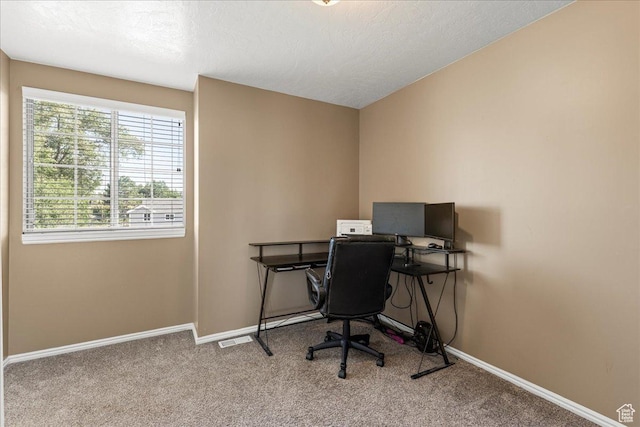 6410 W Martin Way S, West Valley City, UT 84128 - carpeted office space featuring baseboards and a textured ceiling