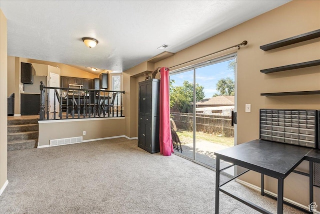6410 W Martin Way S, West Valley City, UT 84128 - unfurnished living room featuring carpet floors and vaulted ceiling