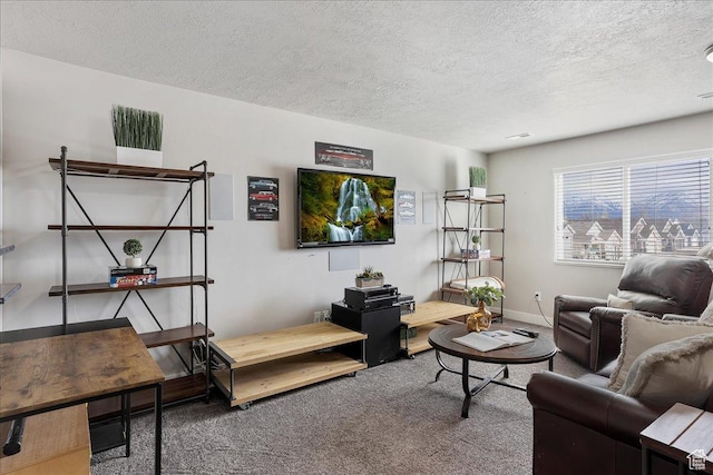 1949 N 2350 W Unit 203, Clinton, UT 84015 - carpeted living area featuring a textured ceiling