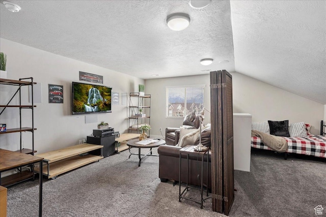 1949 N 2350 W Unit 203, Clinton, UT 84015 - living room featuring carpet floors, a textured ceiling, and lofted ceiling