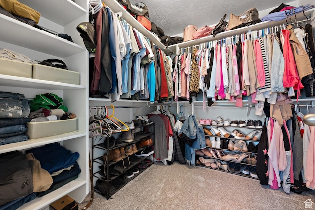 8791 N Suffolk Ln, Eagle Mountain, UT 84005 - spacious closet with carpet floors