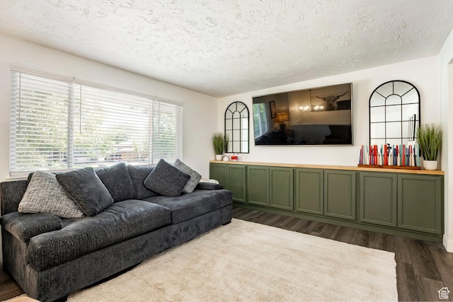 5980 S Sweet Basil W, Taylorsville, UT 84129 - living room with dark wood-type flooring and a textured ceiling