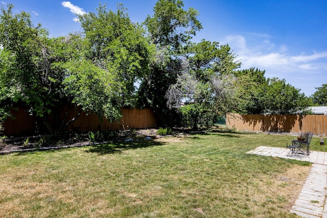 5980 S Sweet Basil W, Taylorsville, UT 84129 - view of yard featuring a patio