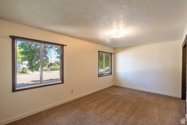 481 W Oak Crest Dr, Monticello, UT 84535 - unfurnished room featuring healthy amount of natural light, carpet, and a textured ceiling