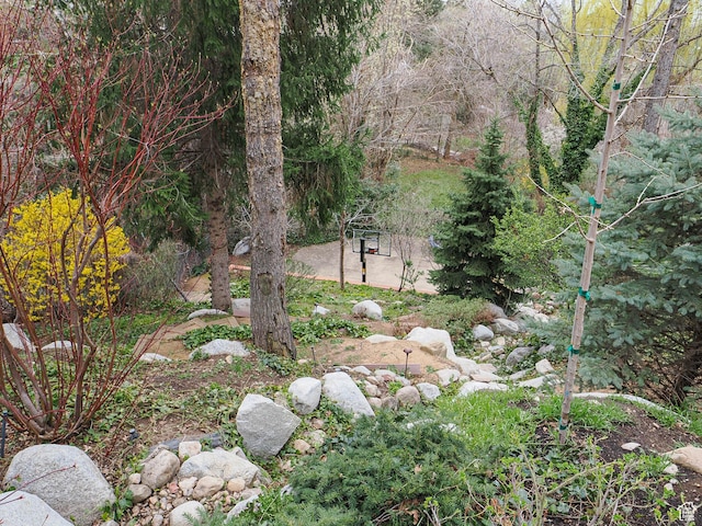 3632 S Wasatch Cove Cir, Millcreek, UT 84109 - photo 18