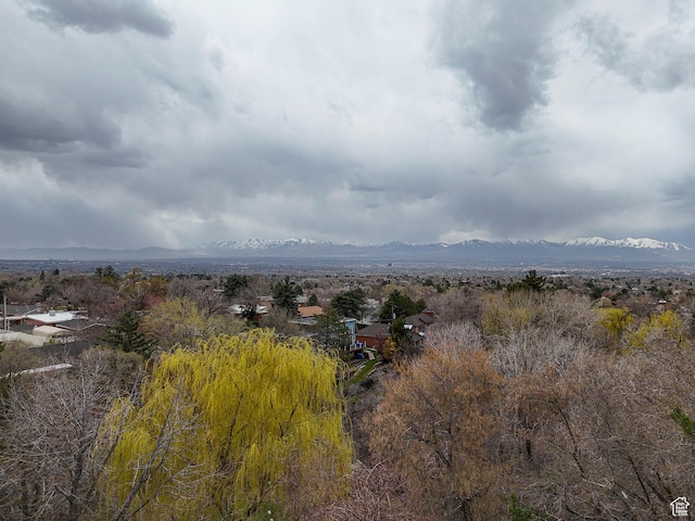 3632 S Wasatch Cove Cir, Millcreek, UT 84109 - photo 45