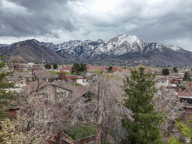 3632 S Wasatch Cove Cir, Millcreek, UT 84109 - photo 43