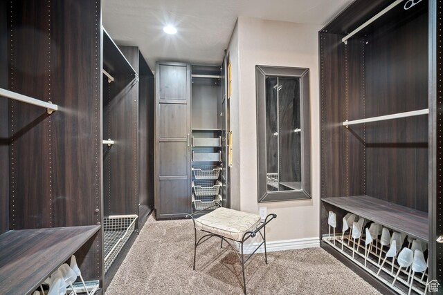 967 E Eaglewood Dr, North Salt Lake, UT 84054 - spacious closet featuring carpet flooring