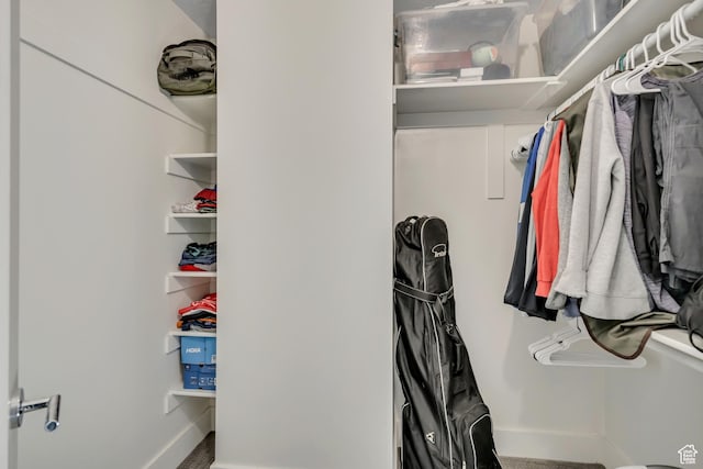 230 E Broadway Unit 401, Salt Lake City, UT 84111 - view of walk in closet