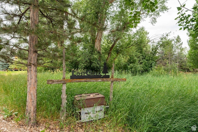 8817 E Mountain Valley Dr S, Huntsville, UT 84317 - view of yard