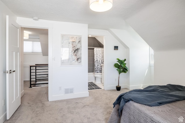334 N C St, Salt Lake City, UT 84103 - bedroom featuring carpet floors, a textured ceiling, vaulted ceiling, and connected bathroom