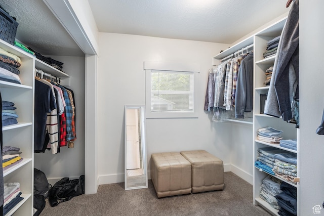 334 N C St, Salt Lake City, UT 84103 - spacious closet with carpet flooring